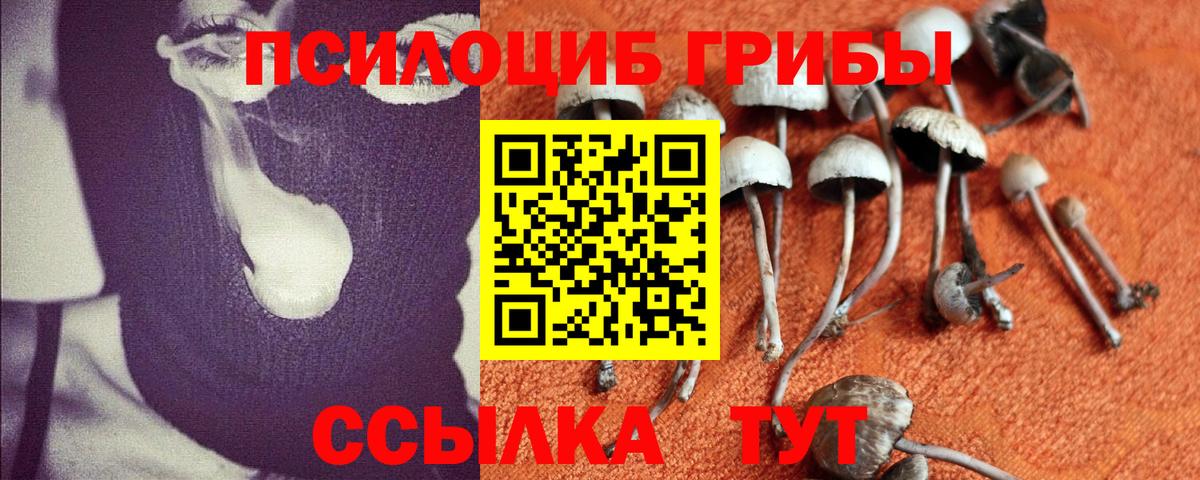 Псилоцибиновые грибы ЛСД  Галлюциногенные грибы GOLDEN TEACHER  Усть-Лабинск  Вход с VPN 